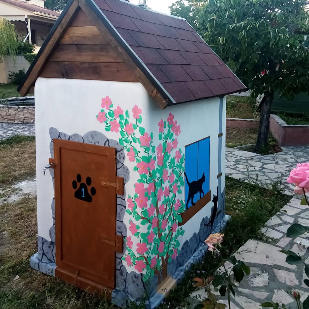 IMG_20200629_082920_139